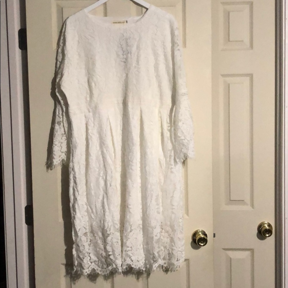 White lace midi dress. NWT